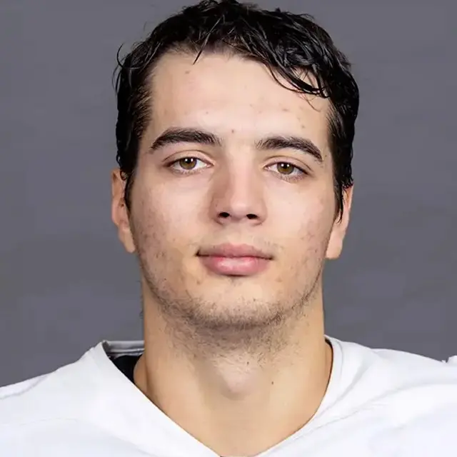 Artem Buzoverya