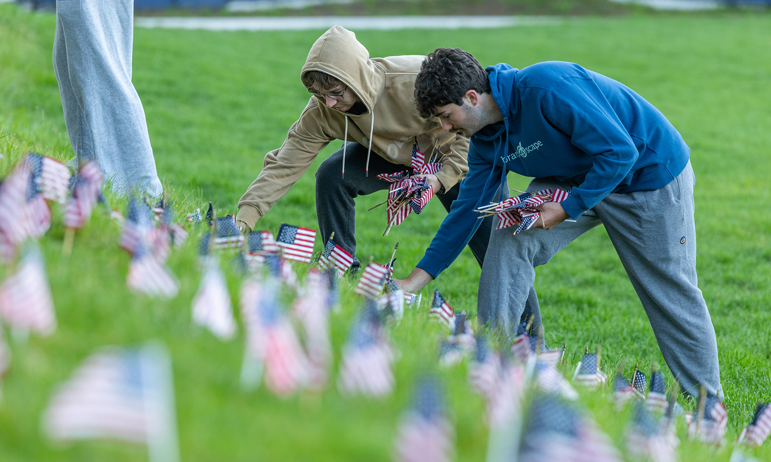 Students place flags on the Quad