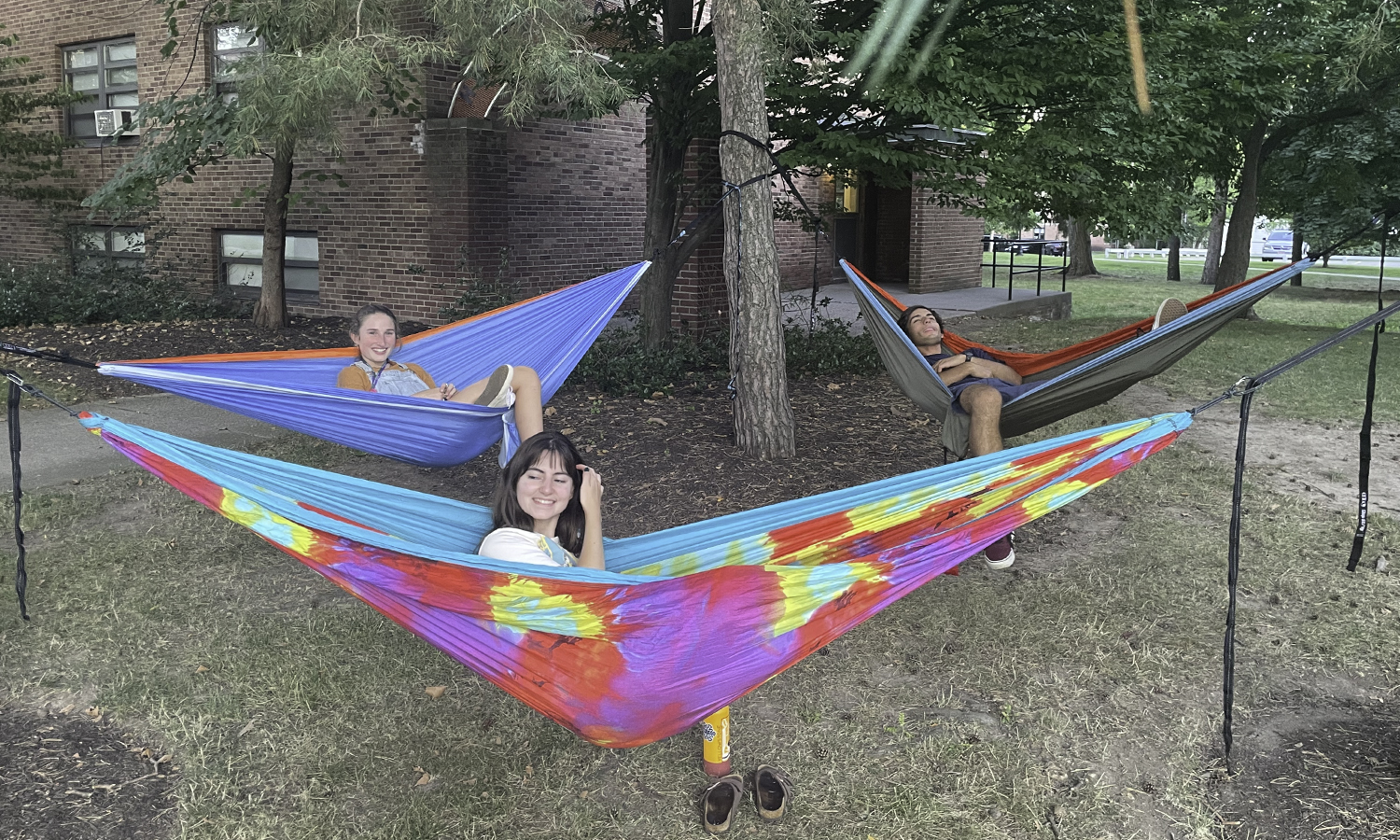 Goldman and friends in hammocks