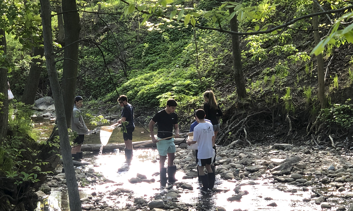 Geneva High students working in creek