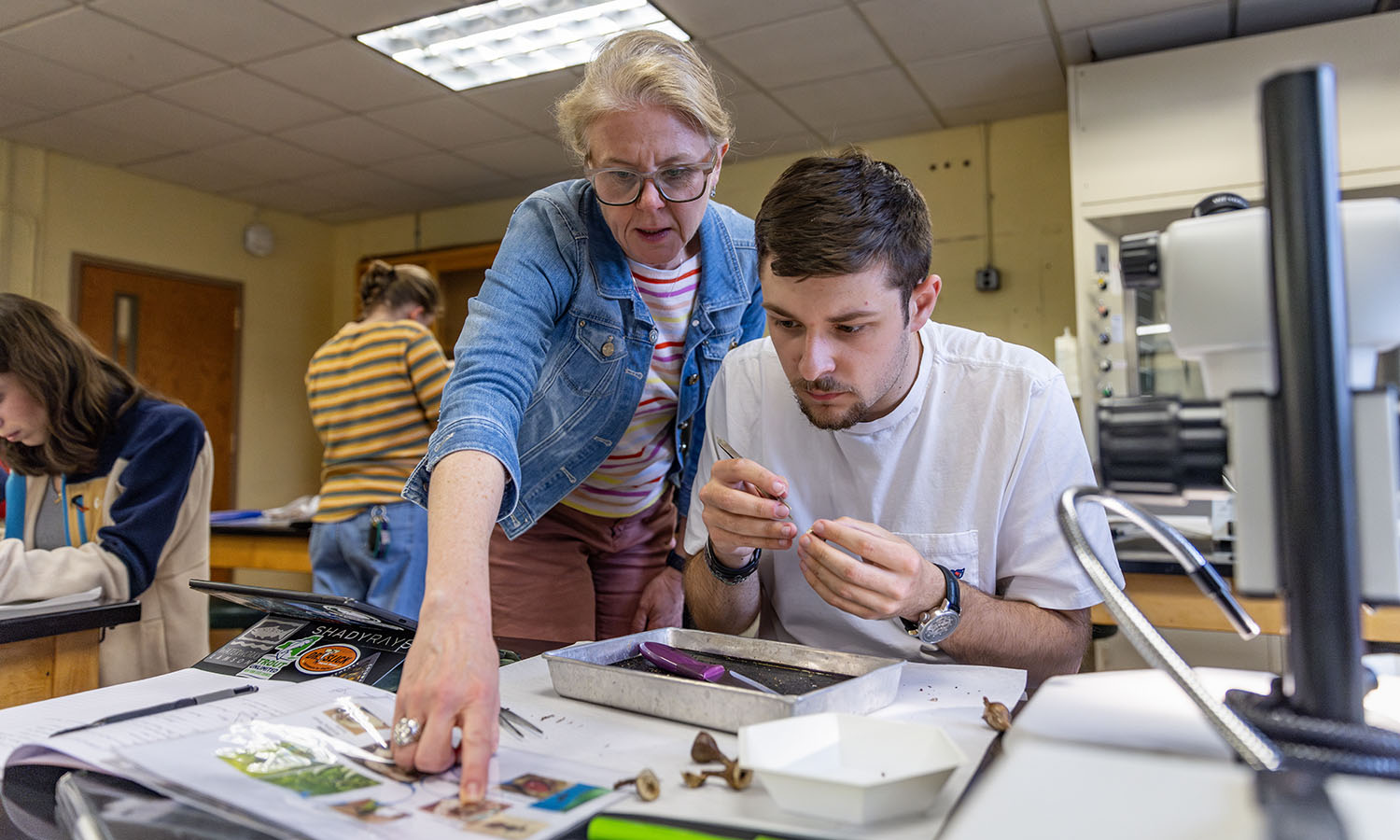 Associate Professor of Practice Susan Cushman works with a student studying coevolutionary species interactions by identifying insect larvae found inside goldenrod galls during an “Ecology” lab. 