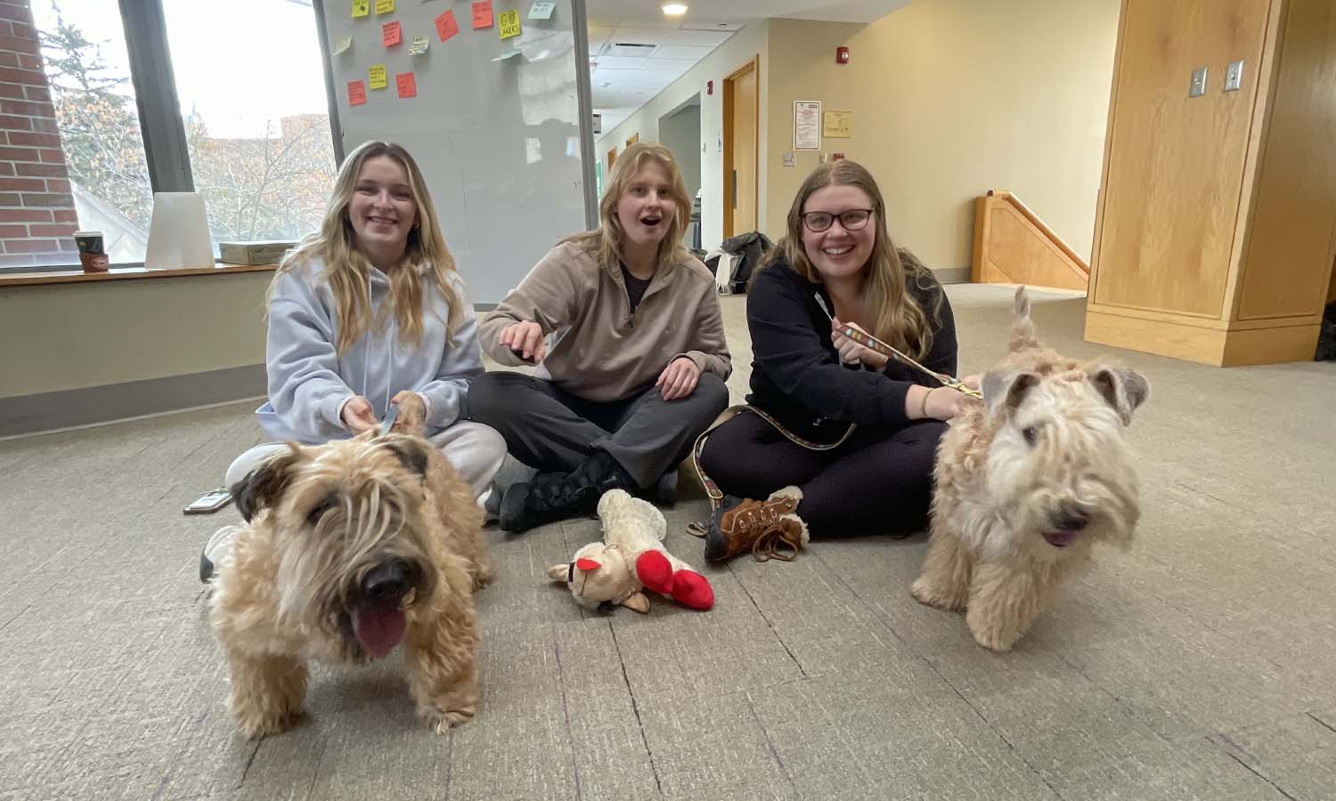 Caroline Lyddane ’28, Caroline Schroth ‘27 and Caroline Frick ‘28 play with Charlie and Gordie at the Paws for a Break event in Scandling Campus Center. 
