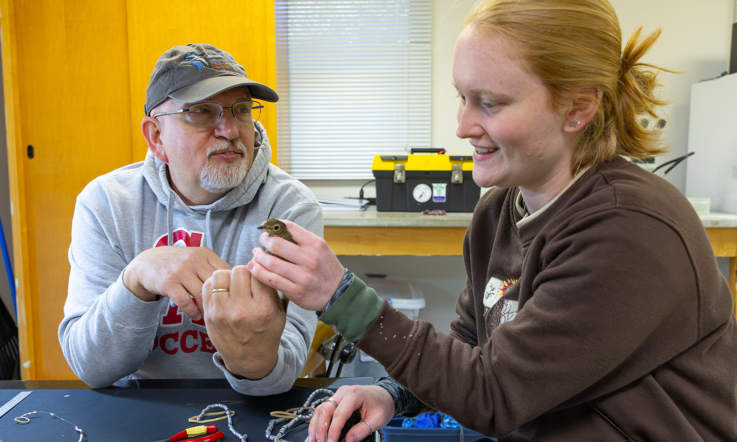 At the Henry Hanley Biological Field Preserve, Professor of Biology Mark Deutschlander works with Katie Crandall ’26 to record data, band and release birds as part of a new migration project. Permits for this work are provided by the USGS Bird Banding Laboratory and NYDEC to Professor Deutschlander, and birds are handled using ethical guidelines from the North American Banding Council. 