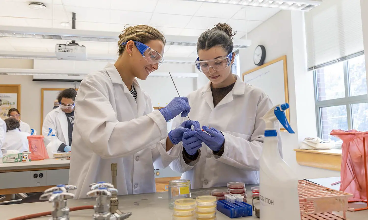 Zaira Bulatova ’28 and Niamh Monnery ’27 identify bacteria by testing it under different growth conditions during a lab for “Microbiology” with Professor of Biology Patricia Mowery.