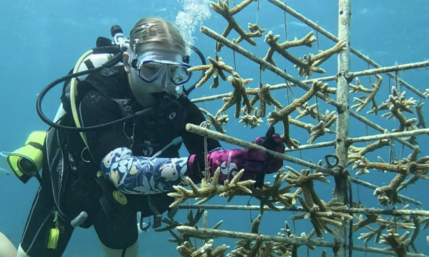 Dani Krenzer '27 is seen tying coral to a coral tree during her summer internship as a Coral Technician and Scuba Intern at Coral World Ocean Park in St. Thomas, U.S. Virgin Islands.  