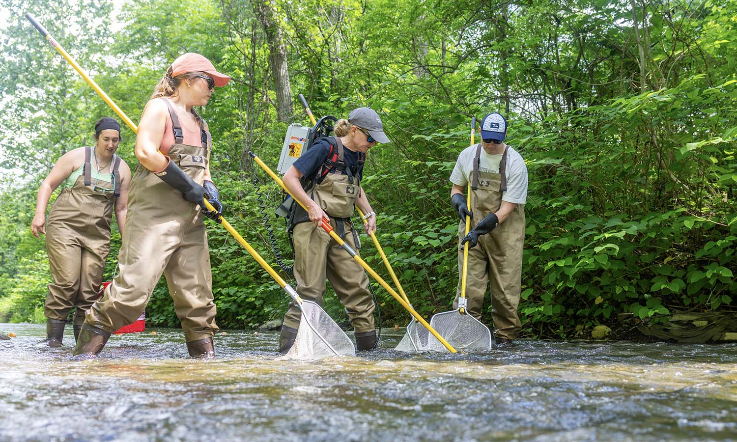 Jessica Hoffman ’27 and Jake Labanowski ’28 along with Assistant Professor of Biological and Environmental Sciences at Le Moyne Lauren Stoczynski (left) help Associate Professor of Practice Susan Cushman '98 (center) with electrofishing in Catharine Creek, near Watkins Glen, N.Y. The team is catching and marking fish with small color-coded tags that will help track movement, growth and survival over time. 