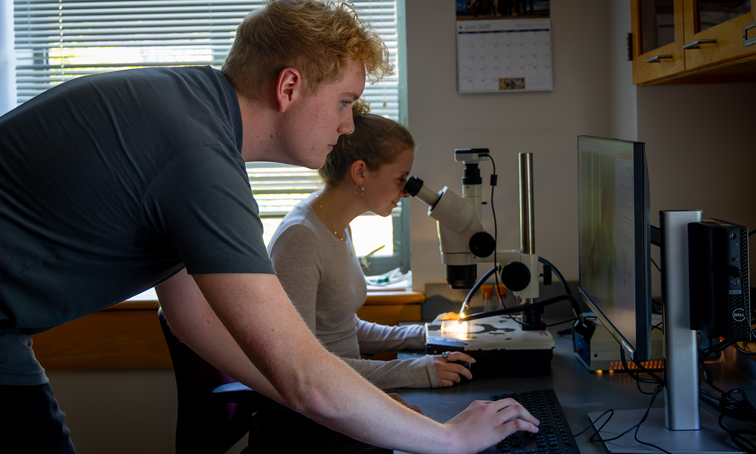 Payton Owens ‘28 and Bella Miller ‘28 examine fruit flies for changes in gene activity during organ formation (eye, ovary) while doing research with Professor of Biology Kristy Kenyon. 