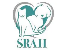 The Springs Road Animal Hospital logo, featuring a dog modeled after Melly