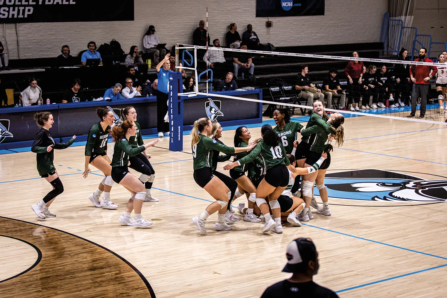 The Herons rush the court to celebrate their first ever NCAA tournament win