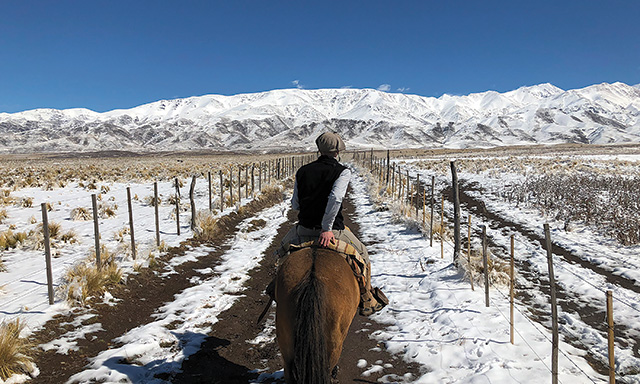 Horseback Riding in the Andres - Mendoza, Argentina