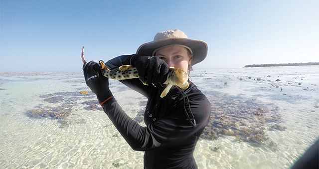 Rachel Barry '19 holds an  epaulette shark on Heron Island,  Queensland, Australia.