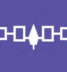 Haudenosaunee flag