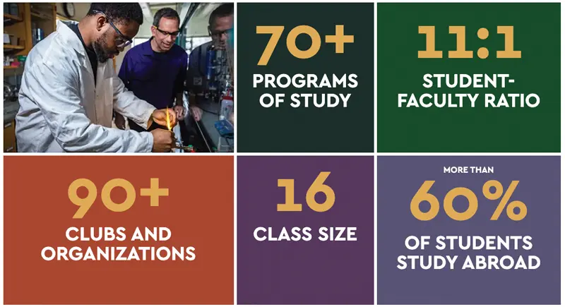 By the Numbers