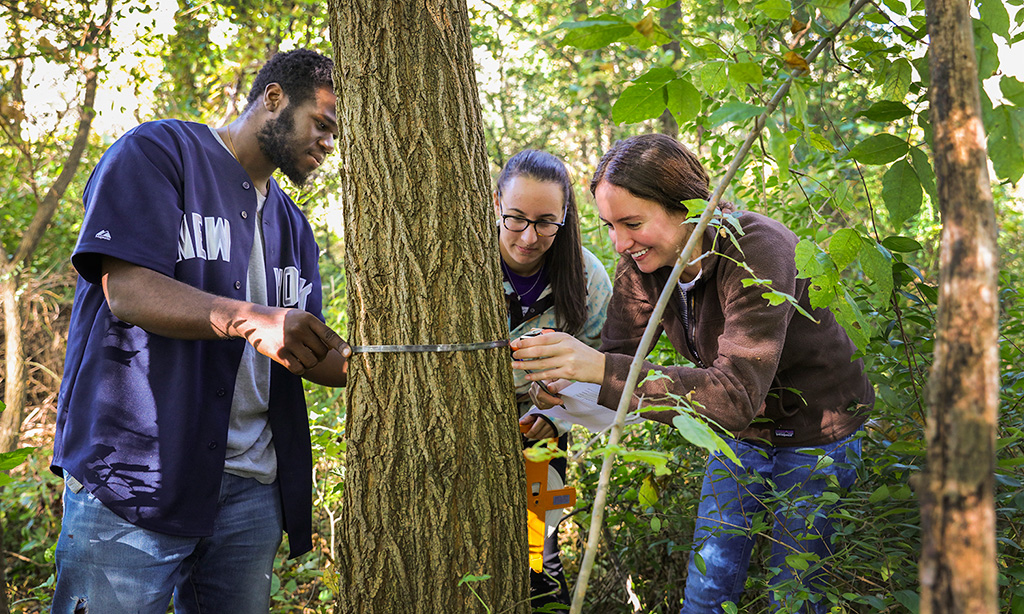 Environmental Studies Academics Hobart and William Smith