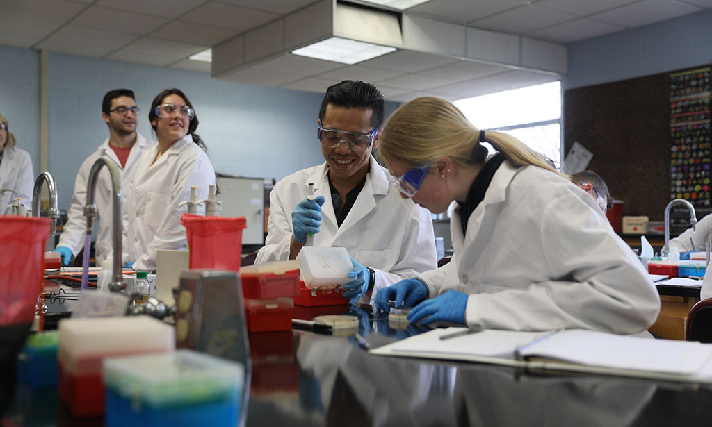 Students perform a lab experiment