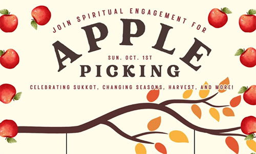 apple picking