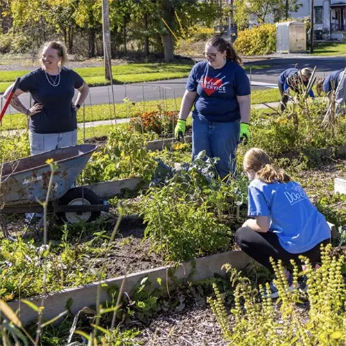 Day of Service