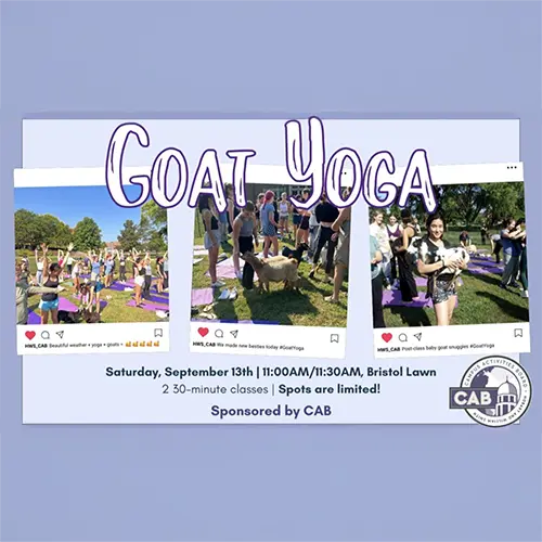 goat yoga