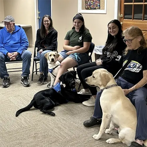 guiding eyes