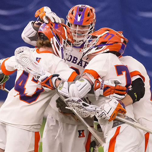 Hobart lax