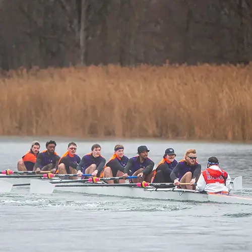 Hobart rowing