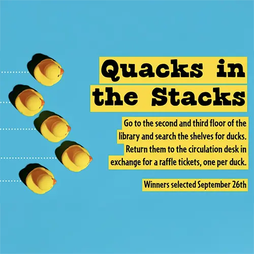 ducks