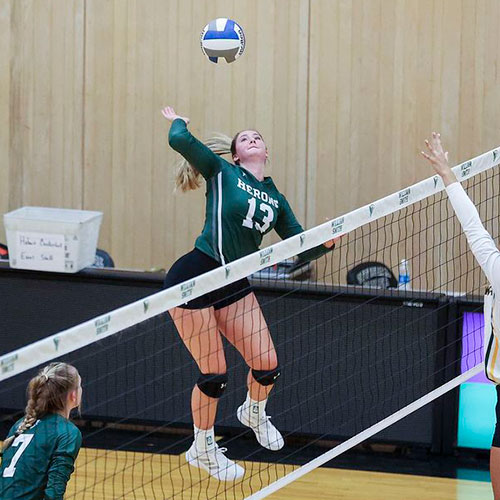 WS volleyball