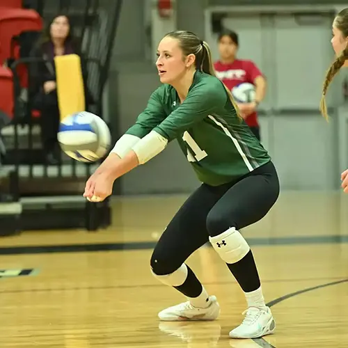 WS volleyball