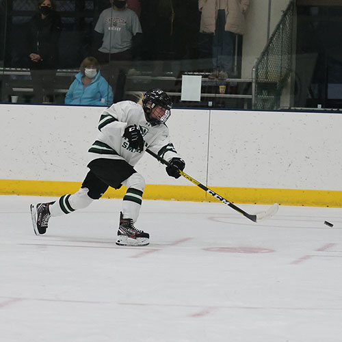 WS ice hockey
