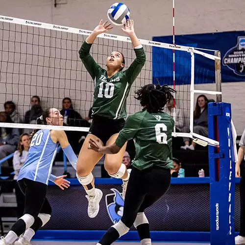 WS volleyball