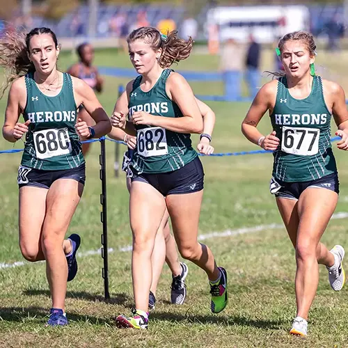 WS cross country