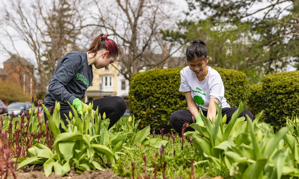 day of service