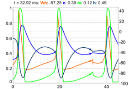 Neural Simulation graph