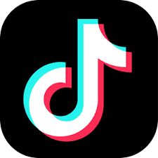 TikTok Icon