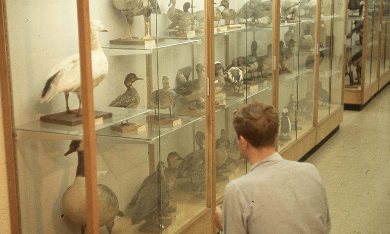 Hobart and William Smith Colleges