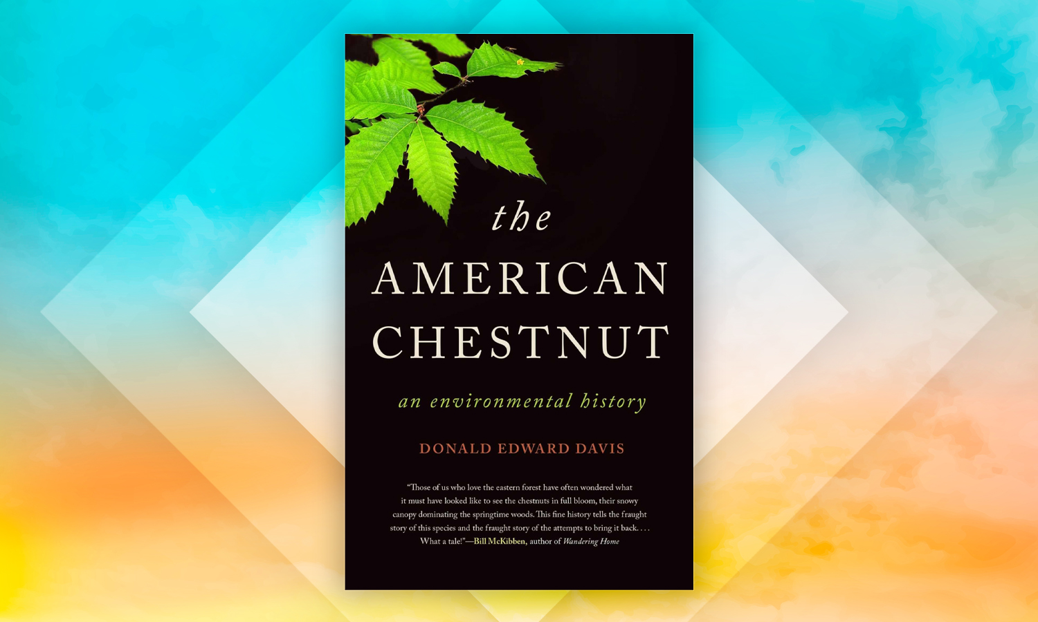 chestnut