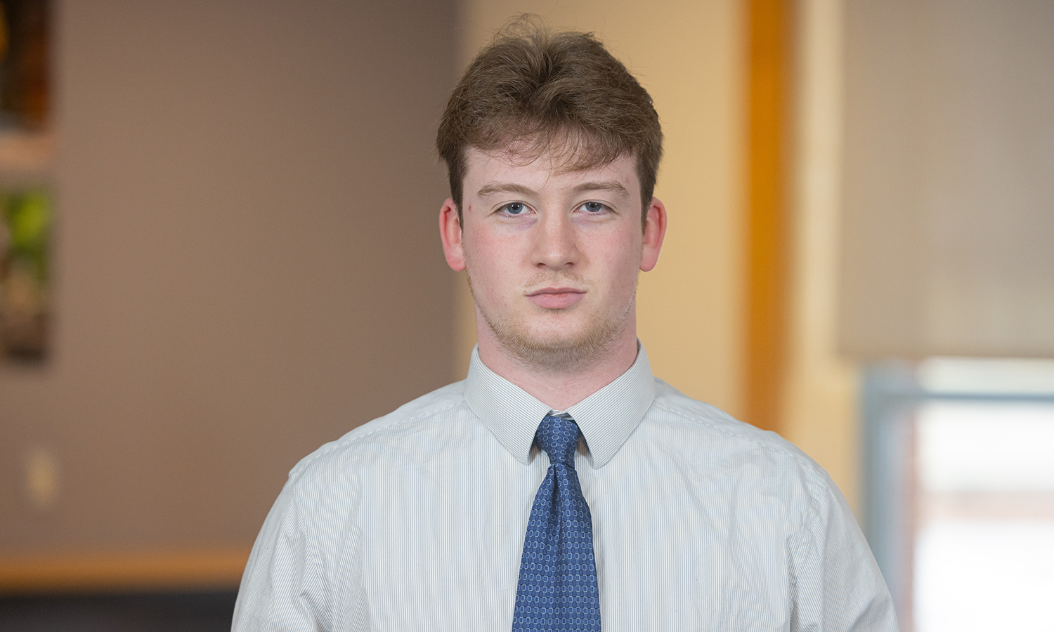Andrew D'Amato