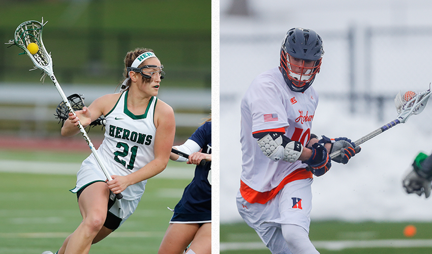 Herons and Statesmen LAX on the BOZ