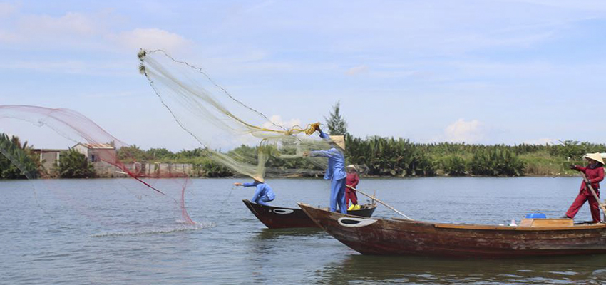 Blogging from Vietnam