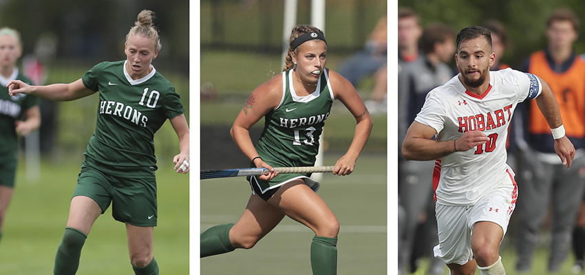 Colleges Boast All-Star Athletes