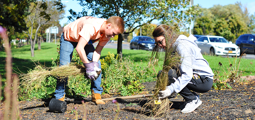 Community Garden Training Program Seeks Volunteers