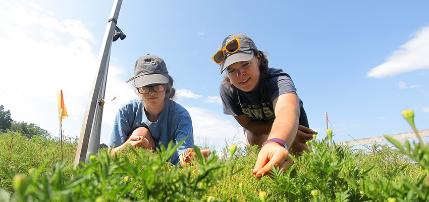 HWS Celebrates Earth Week 2018