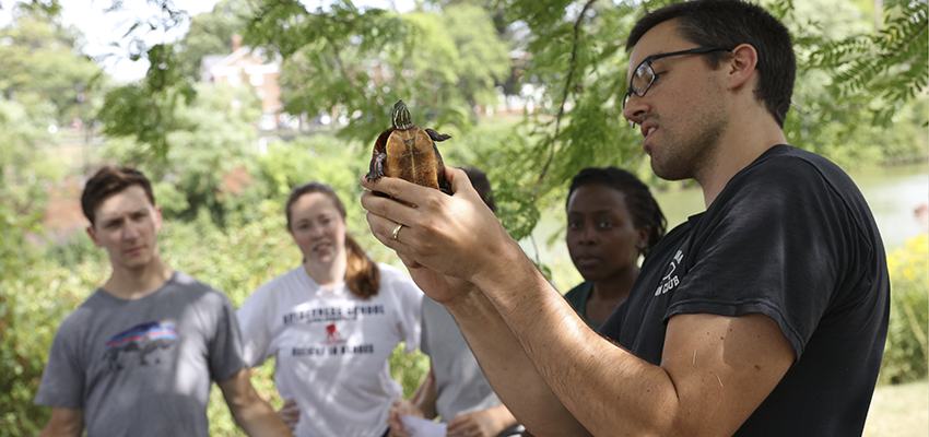 Cosentino publishes on biological impacts of urbanization