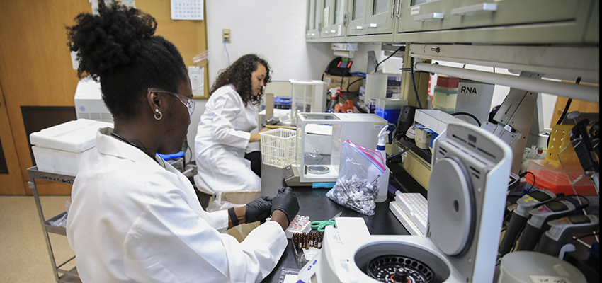 Aulet ΓÇÖ19 and Ross ΓÇÖ19 Analyze Cherry Compounds with USDA