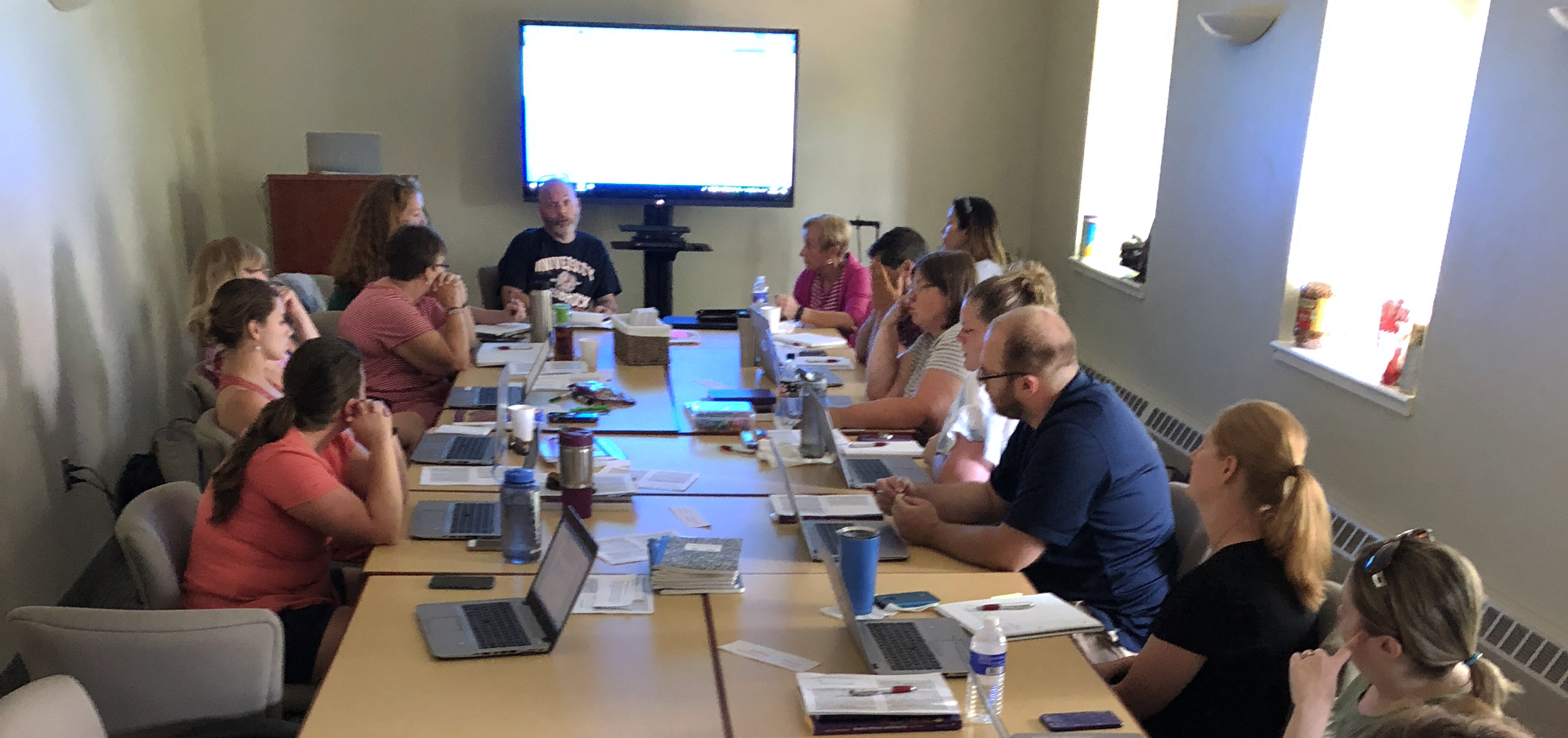 Geneva 2020 Partners with National Writing Project