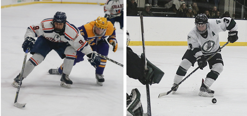 Herons and Statesmen on the Ice