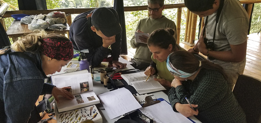 Young ΓÇÖ18 Tracks the Birds of EcuadorΓÇÖs Pacific Forests