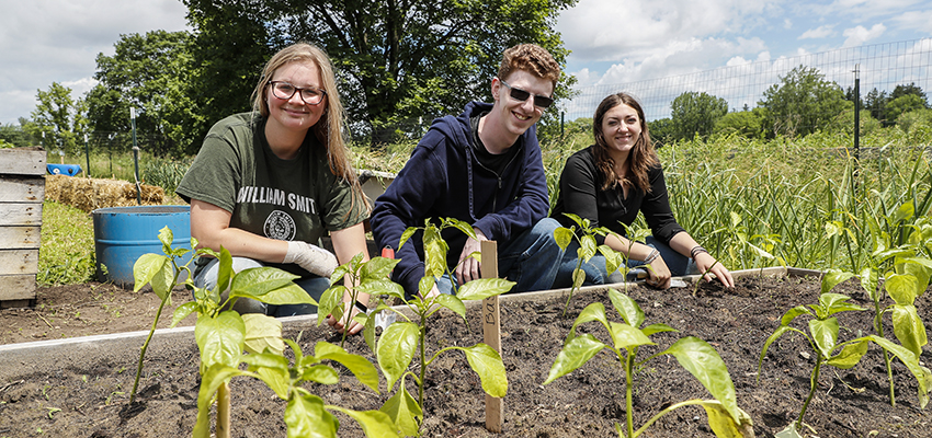Four HWS students intern at Fribolin Farm