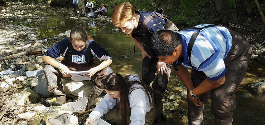 Biology Lab: Castle Creek