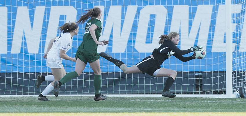 Herons Wage Strong Fight